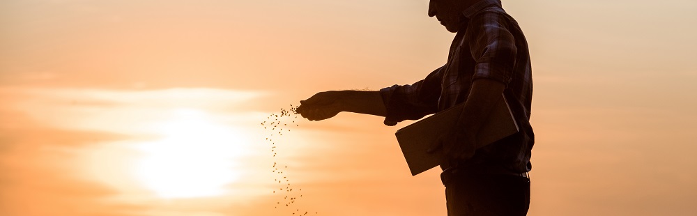 Sowing seeds